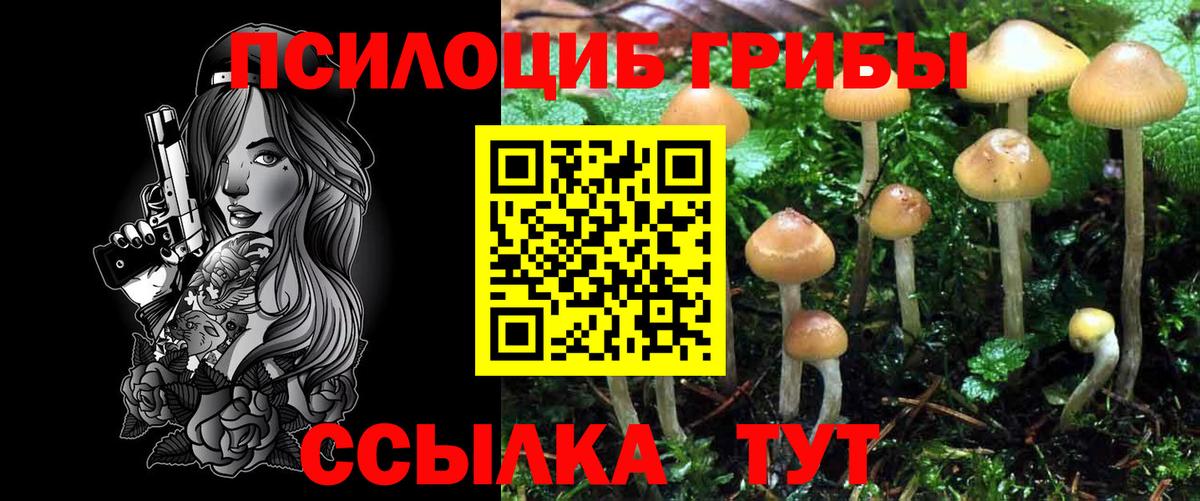 Галлюциногенные грибы GOLDEN TEACHER  Вход с VPN  Соликамск 