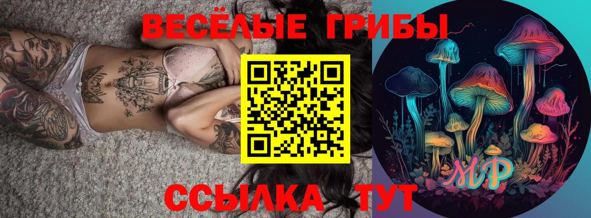 Галлюциногенные грибы GOLDEN TEACHER Соликамск